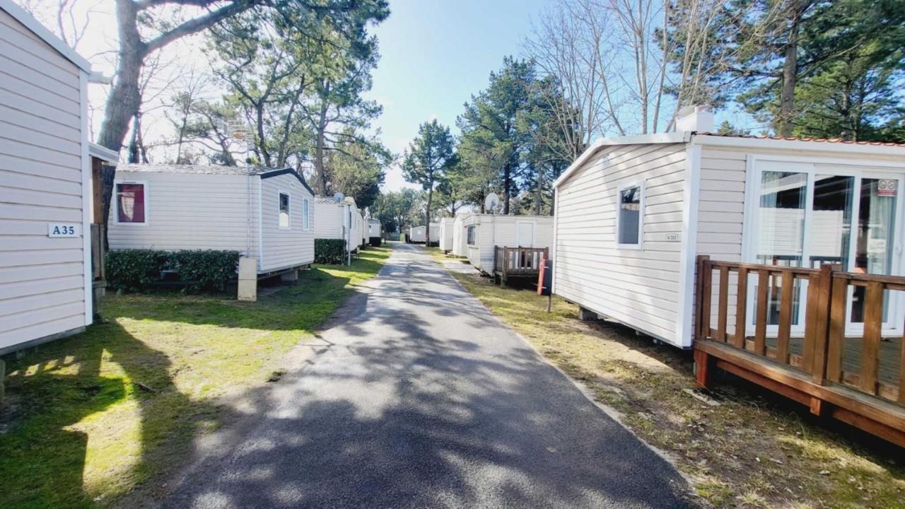 Hôtel Les Magnolias - Saint-Jean-de-Monts - Bois Masson Bois Dormant Extérieur photo